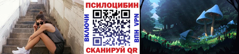 Галлюциногенные грибы Psilocybe  Называевск 